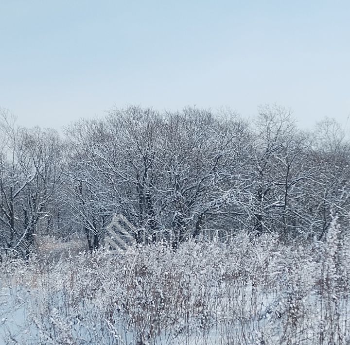 земля г Южно-Сахалинск снт Ласточка СДТ фото 1