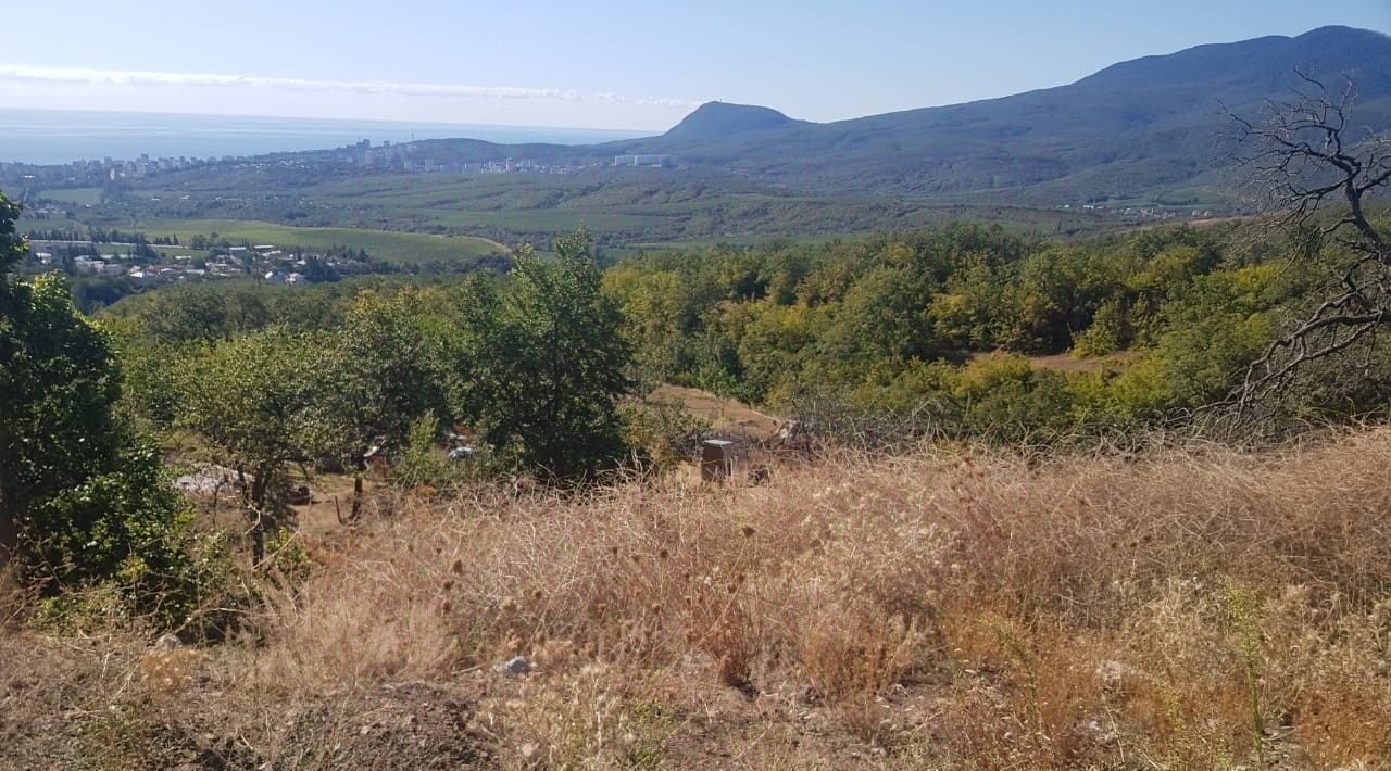 земля г Алушта с Верхняя Кутузовка пер Школьный фото 5