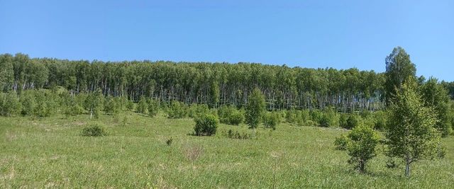 р-н Алтайский с Нижнекаянча ул Центральная фото