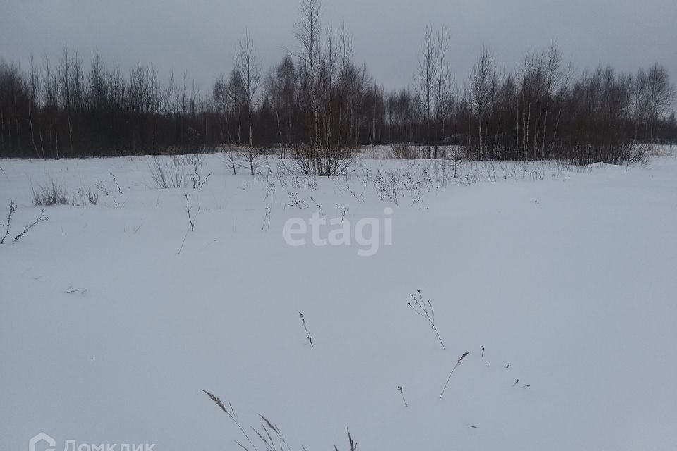 земля г Выкса фото 1