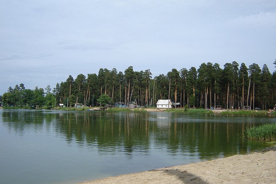 земля р-н Бессоновский посёлок Подлесный фото 2