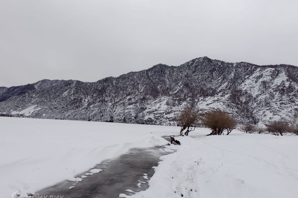 земля р-н Чемальский с Куюс ул Центральная фото 5