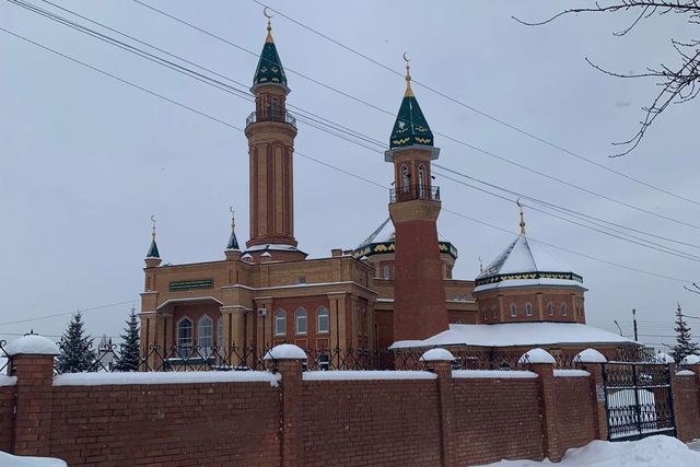 проезд Торновый 8 городской округ Тольятти фото