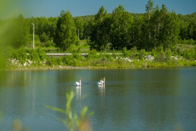 городской округ Первоуральск, коттеджный посёлок Князевское фото