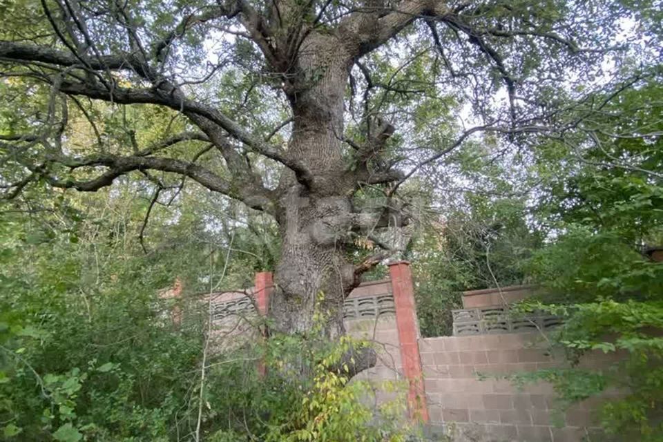 земля г Ялта пгт Кореиз городской округ Ялта, посёлок Мисхор фото 4