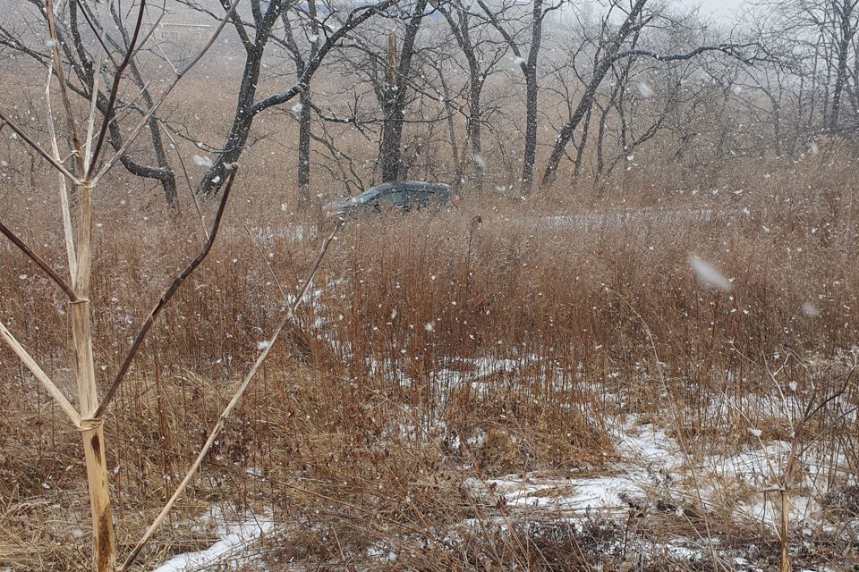 земля Артёмовский городской округ, село Олений фото 3