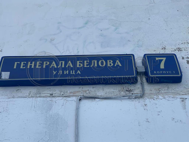 метро Домодедовская фото