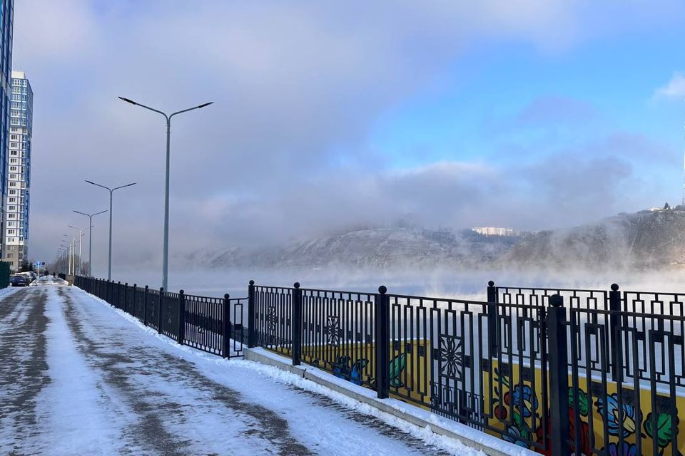 квартира г Красноярск ул Лесников 43б городской округ Красноярск фото 10