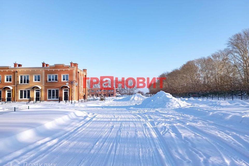 квартира р-н Новосибирский п Элитный микрорайон Берёзки, 155 фото 4