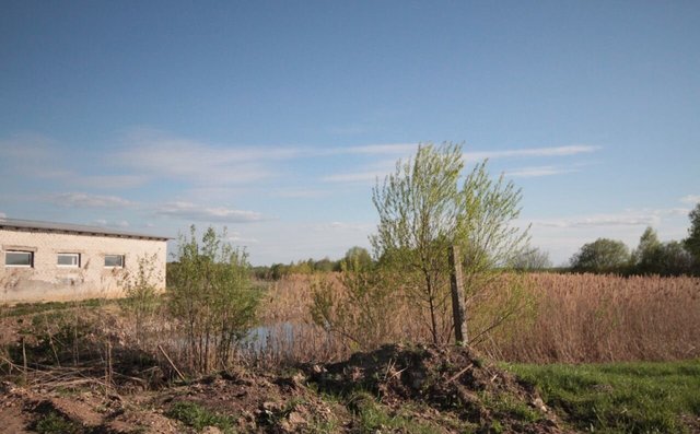 Бурашевское сельское поселение, 2, Козлово фото