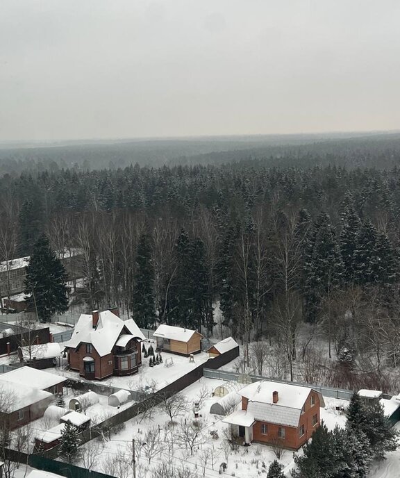 квартира городской округ Пушкинский п Правдинский ш Степаньковское 39 фото 4