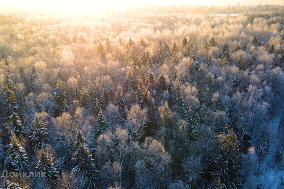 земля городской округ Дмитровский деревня Сазонки фото 1