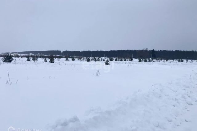 муниципальное образование Пироговское фото