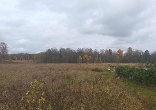 земля Свердловское городское поселение, Отрадное фото