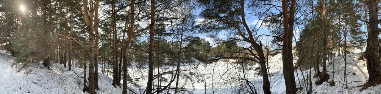 земля р-н Алексинский г Алексин фото 1