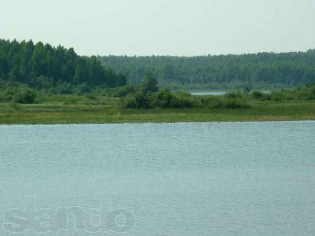 земля р-н Оленинский деревня Дубровка фото 1