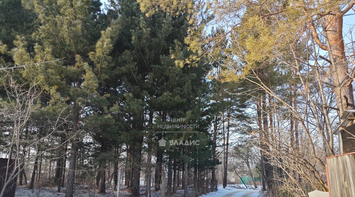 земля г Арсеньев фото 1