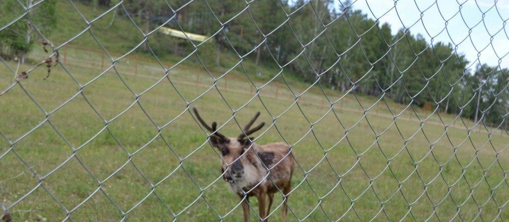 квартира г Миасс с Сыростан ул Федора Конюхова 1 Миасский городской округ фото 11