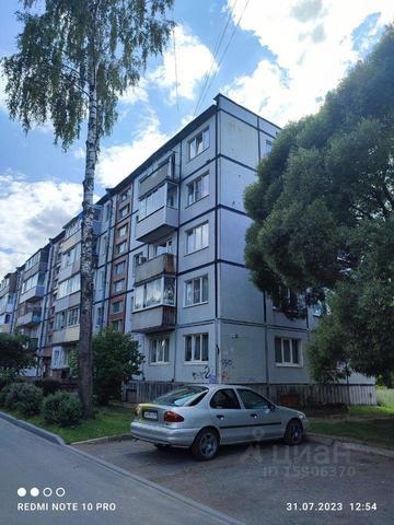 ул Центральная Скребловское сельское поселение, Луга фото