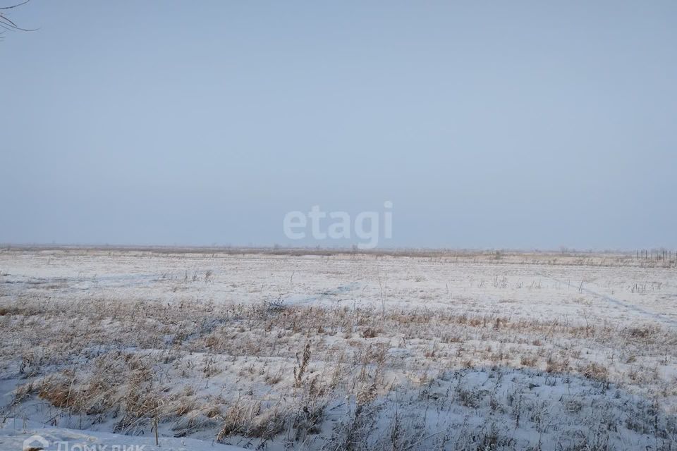 земля р-н Алтайский деревня Кайбалы фото 6