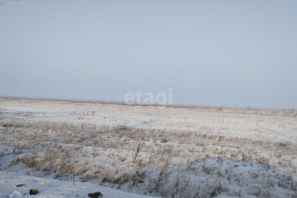 земля р-н Алтайский деревня Кайбалы фото 6