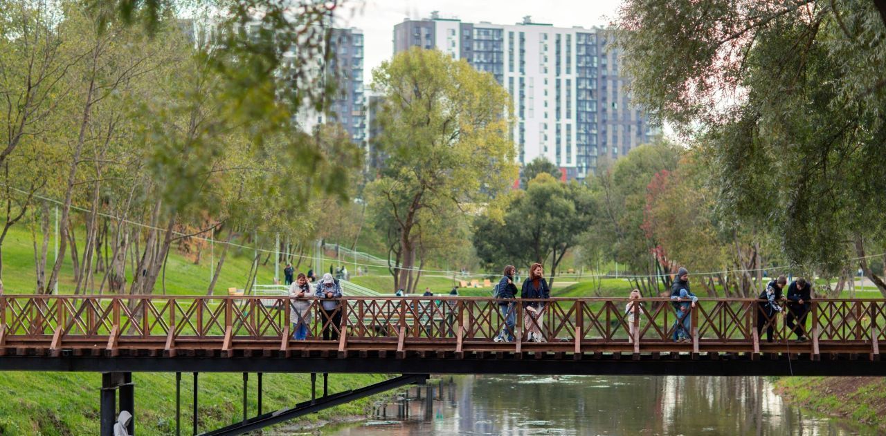 квартира г Москва п Десеновское метро Ольховая фото 38