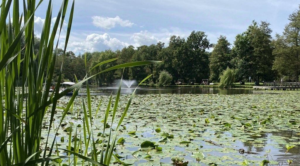 квартира р-н Зеленоградский г Зеленоградск ул Валентина Мосина 4 фото 19