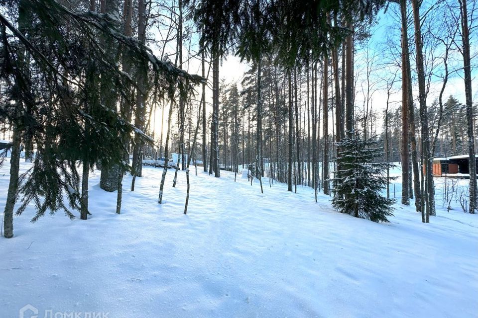 земля р-н Всеволожский Куйвозовское сельское поселение фото 3