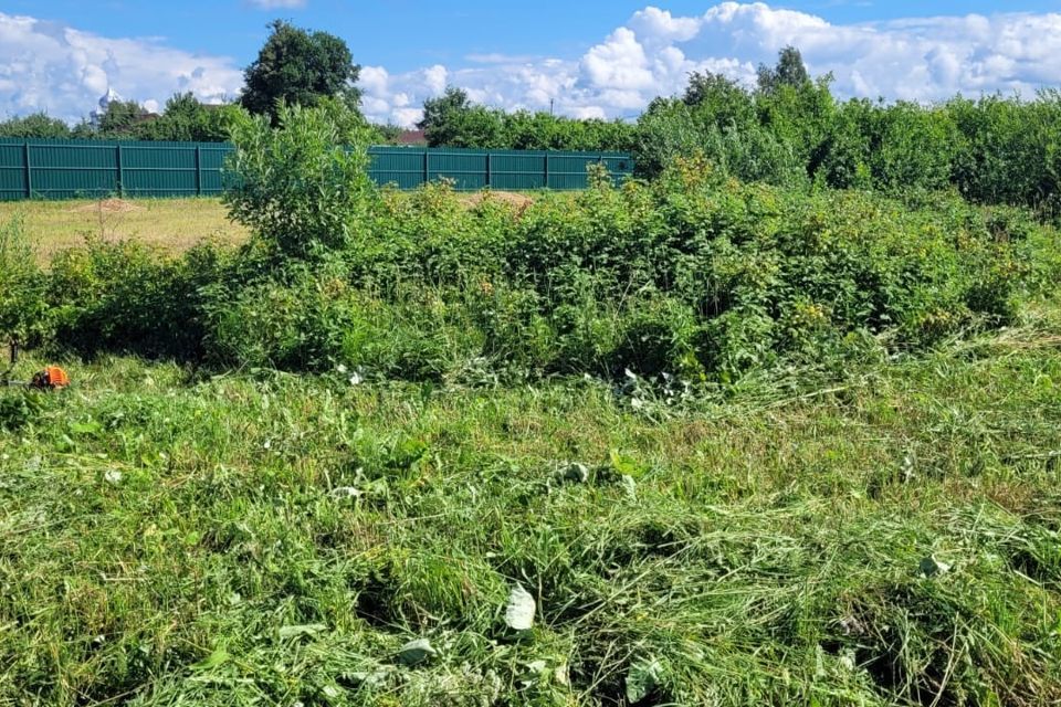 земля р-н Лужский д Поддубье Центральная улица фото 4