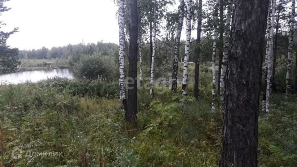 земля г Верхняя Пышма п Кедровое пер Александровский 2 городской округ Верхняя Пышма фото 1