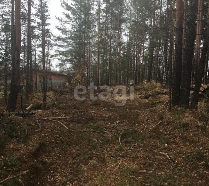 земля г Верхняя Пышма п Кедровое пер Александровский 2 городской округ Верхняя Пышма фото 3