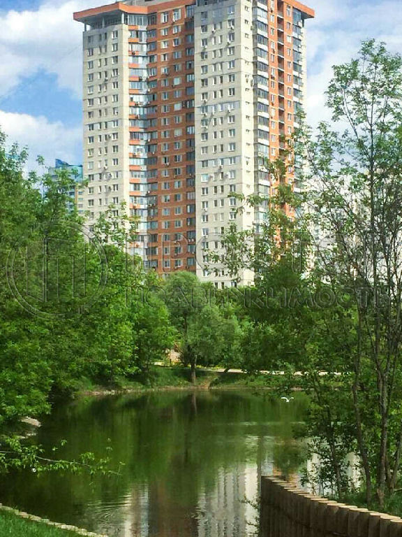 квартира г Москва метро Пражская ул Чертановская 48к/3 фото 27