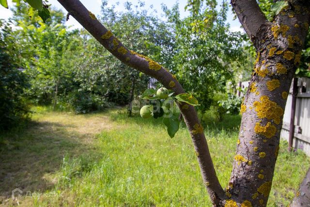 земля г Алексеевка микрорайон Девятиэтажек фото