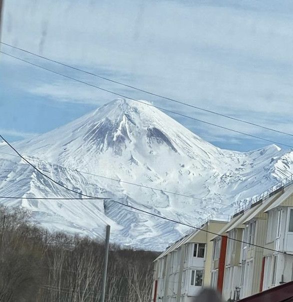 дом г Петропавловск-Камчатский ул Ларина 14 Елизовский район фото 10