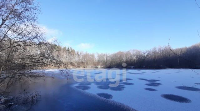 снт Ручеек Кострома фото