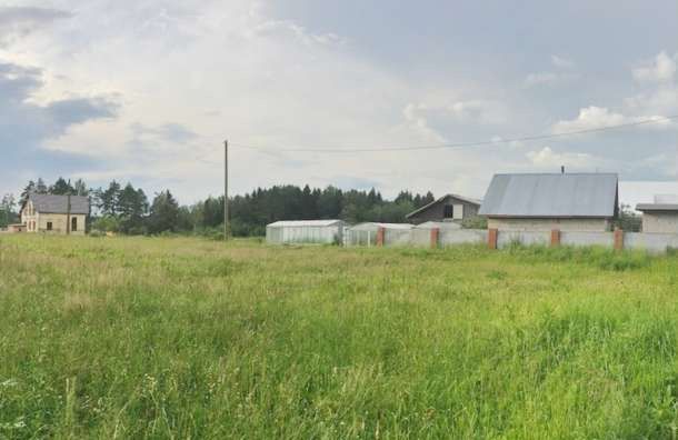 Сяськелевское сельское поселение, Войсковицы фото
