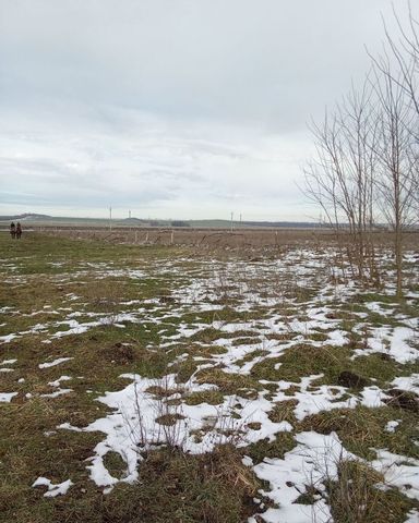земля Темиргоевское сельское поселение фото