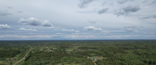 земля д Голостьяново фото