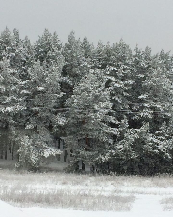 земля г Норильск пр-кт Ленинский фото 10