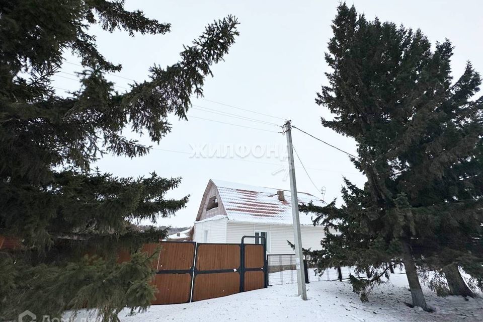 дом р-н Новосибирский с Боровое ул Ленина фото 1