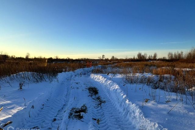 городской округ Тюмень, Центральный округ фото