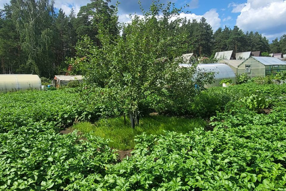 дом г Первоуральск городской округ Первоуральск, коллективный сад № 12 фото 4