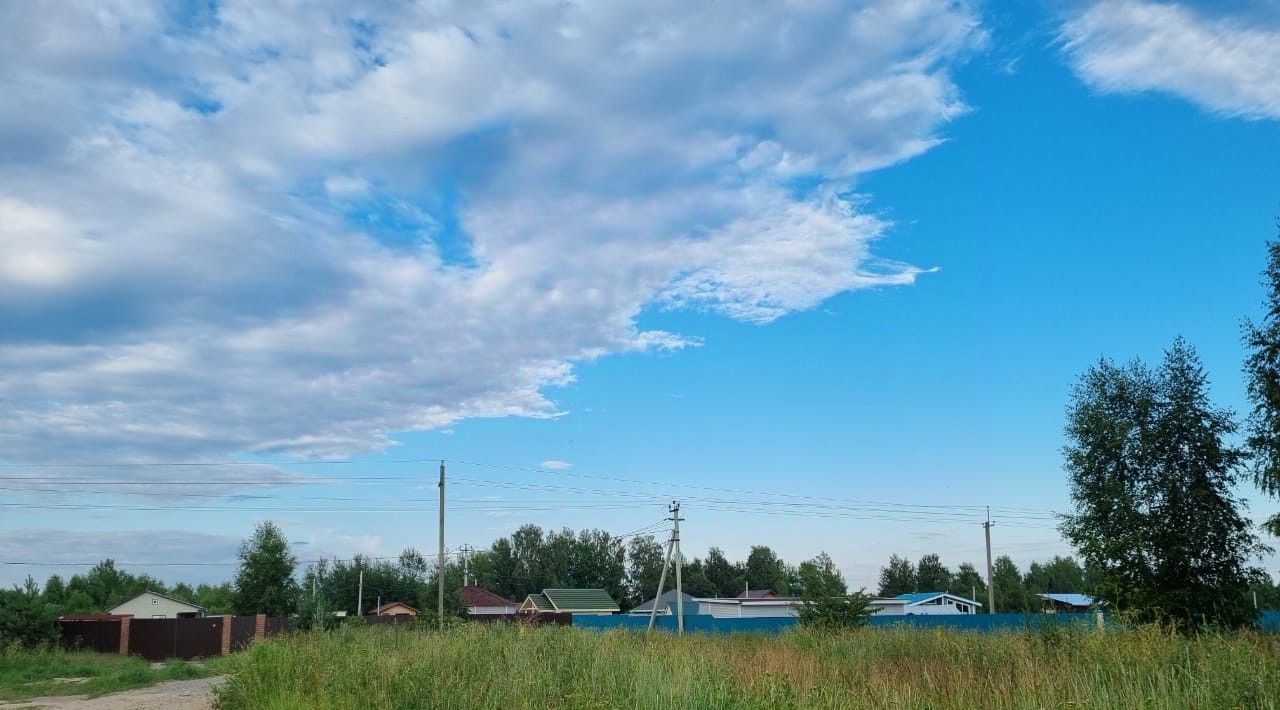 земля р-н Борисоглебский с Покровское с пос, Рыбинский район фото 2