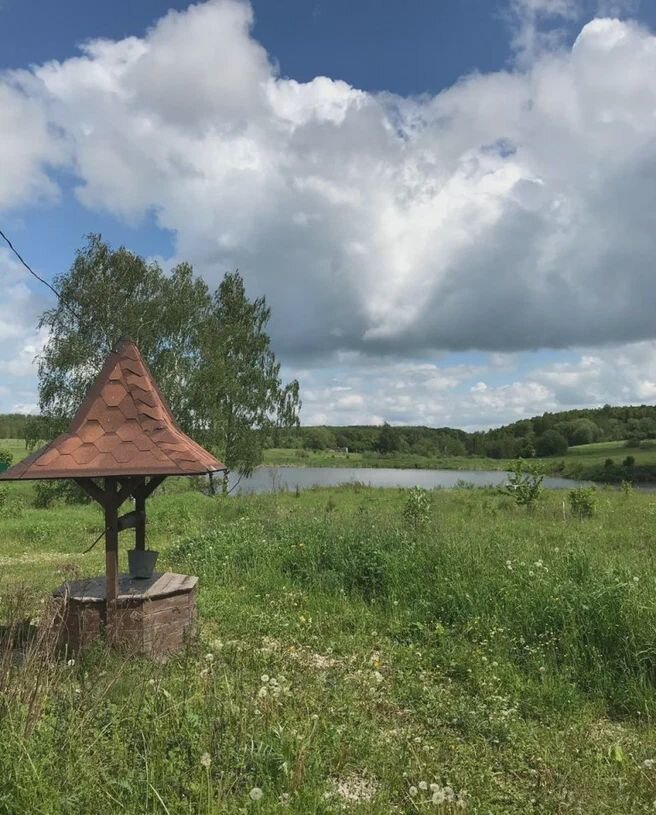 земля г Тула Ясногорский р-н, муниципальное образование Теляковское, ДНП Берёзки, 67, Московская область, Кашира фото 2