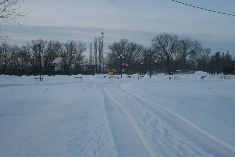 дом р-н Новоусманский с Новая Усмань ул Песоцкая 34в/1 фото 4