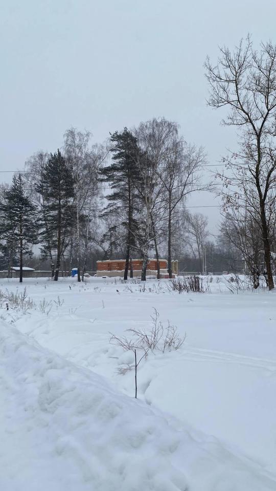 земля г Королев фото 1