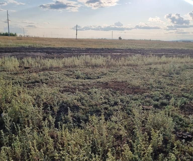 земля городской округ Якутск, Республика Саха Якутия, село Тулагино фото 2