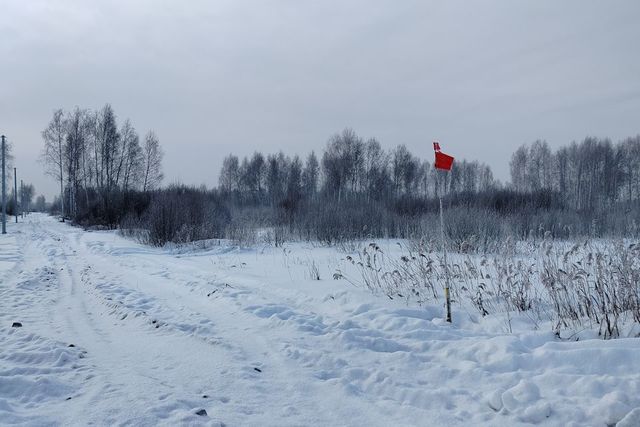 земля тракт Салаирский городской округ Тюмень фото