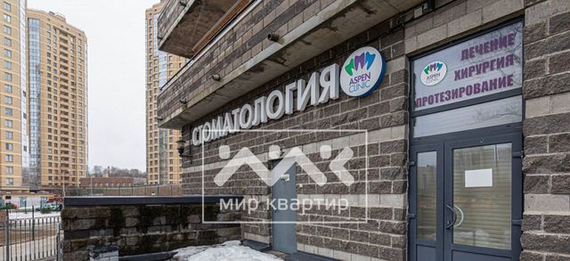 метро Проспект Просвещения ул Композиторов 18 фото