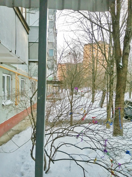 квартира г Калуга р-н Московский ул Московская 315/3 фото 9
